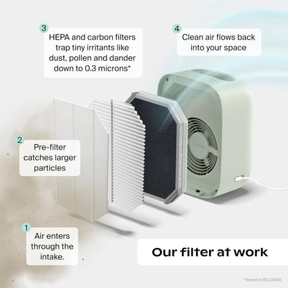 🌬️ Air Purifier for Bedroom – Clean, Fresh Air All Night 🌙✨